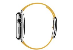 Apple Watch (MMFD2) - 38 мм, нержавеющая сталь, ремешок цвета «весенняя мимоза» с современной пряжкой— фото №1