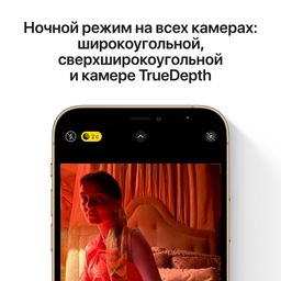 iPhone 12 Pro Max 512Gb, графитовый— фото №4