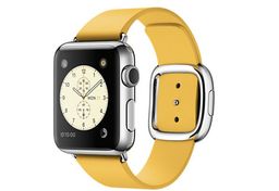 Apple Watch (MMFD2) - 38 мм, нержавеющая сталь, ремешок цвета «весенняя мимоза» с современной пряжкой— фото №0