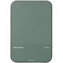 Внешний аккумулятор Native Union Classic Magnetic Qi2 5000 мАч, зеленый